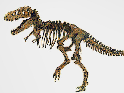 Dinosketch bones dinosaur marching skeleton sketch t rex