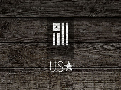 USA day flag logo star usa veterans