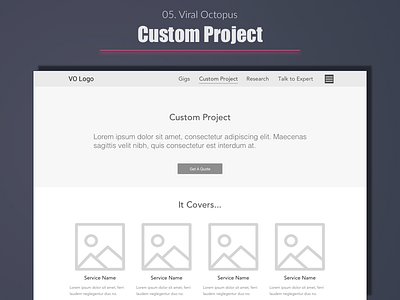 Viral Octopus - Custom Project best design designer expert india portfolio top ui user experience ux web wireframe