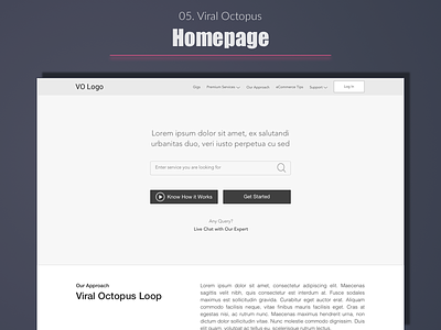 Viral Octopus - Homepage best design designer expert india portfolio top ui user experience ux web wireframe