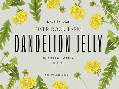 River Rock Farm Dandelion Jelly botanic botanical art botanical illustration branding design floral food jam jelly logo packaging scientific illustration