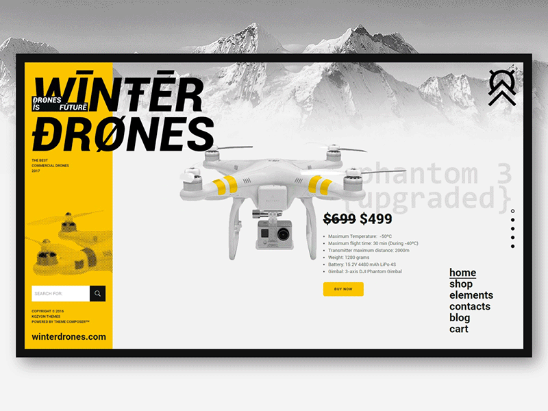 Winter Drones — Business / Landing / Shop