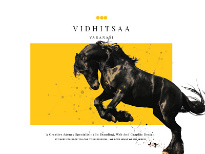 Vidhitsaa portfolio cover