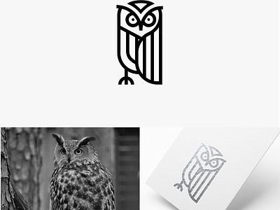 Hotter Collection 3d animallogo animation app branding design graphic design illustration logo logodesigner monogram motion graphics owl trending typography vector