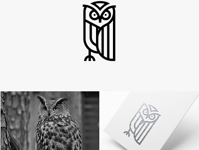 Hotter Collection 3d animallogo animation app branding design graphic design illustration logo logodesigner monogram motion graphics owl trending typography vector