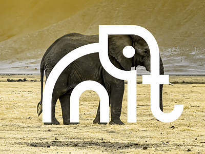 Elephant Logo animallogo bestlogo branding design elephant entrepreneur freelancer graphic design ivory logo logodesigner logomockup moodboard newbusiness startup toplogodesigner