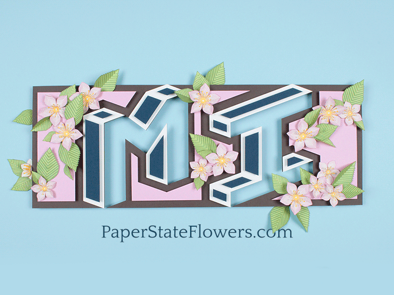 Paper State Flower: Michigan apple blossom collaboration flower laser michigan paper state flowers stop motion