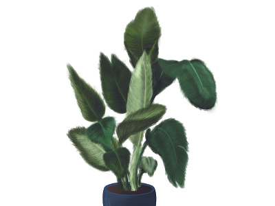 Just Stuff digital painting drawing illustration plant procreate