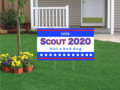 VoteScout2020