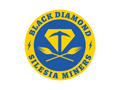 Black Diamond Silesia Miners branding fantasy harry potter logo quidditch sport team