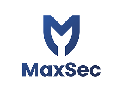 MaxSec b2b branding business company cybersecurity internet logo security web