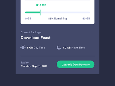 Mobile Data Usage