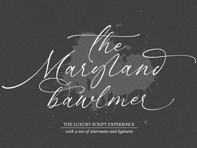 MARYLAND BRAWLMER FONT