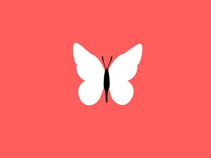 Butterfly animation design graphic