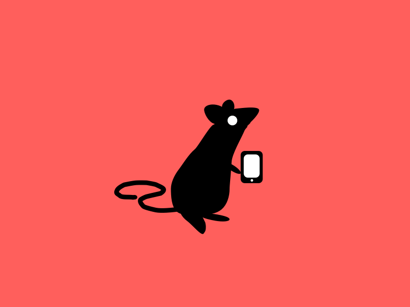 Rat Chat