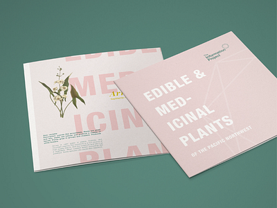 Edible and Medicinal Plants Pamphlet branding brochure brochure design design foldable illustration pamphlet plants pnw poster