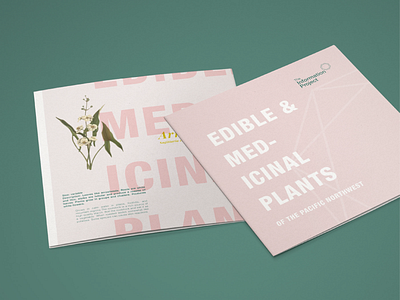 Edible and Medicinal Plants Pamphlet