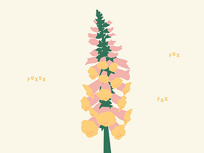 FOXglove flower flowers fox foxglove illustration pink