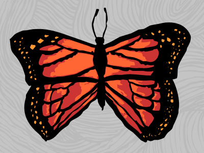 Butterfly butterfly photoshop sketch vector