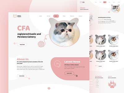 Cattery Svajone design flat graphic design minimal typography website