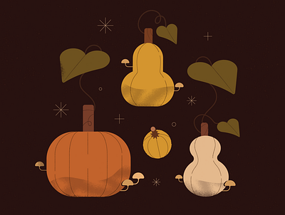 Gourds adobe illustrator autumn design flat art geometric gourds illustration nature pumpkin texture vector art