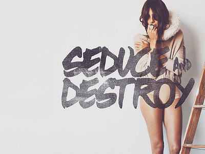 Seduce And Destroy