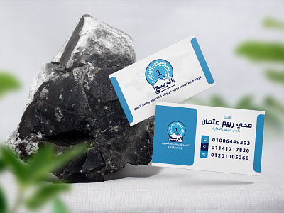 Business Card branding business card design graphic design logo printing
