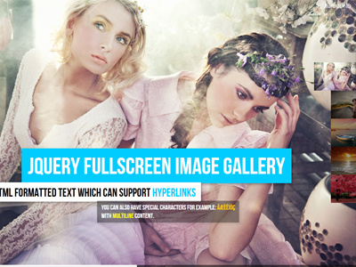 jQuery Fullscreen Image Gallery arrow audio autoplay center content deeplink fade fit flashblue fullscreen gallery html5 jquery keydown music preloader randomize seo slide slideshow stretch timer transition