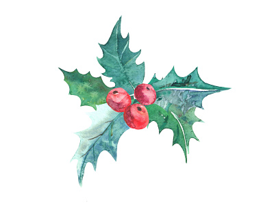 Christmas holly berry botanic bouquet christma christmas star design flower green holly illustration leaves red symbol watercolor