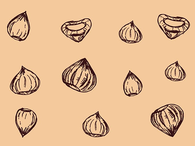 Vector chestnut illustration autumn illustration illustration vector