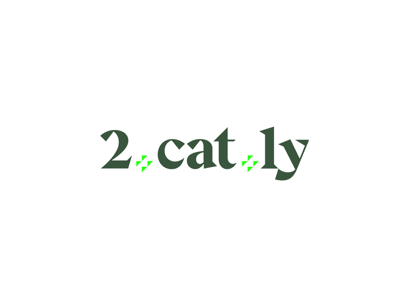 2catly Design Logo Motion animation branding design geometric illustration logo motion typography