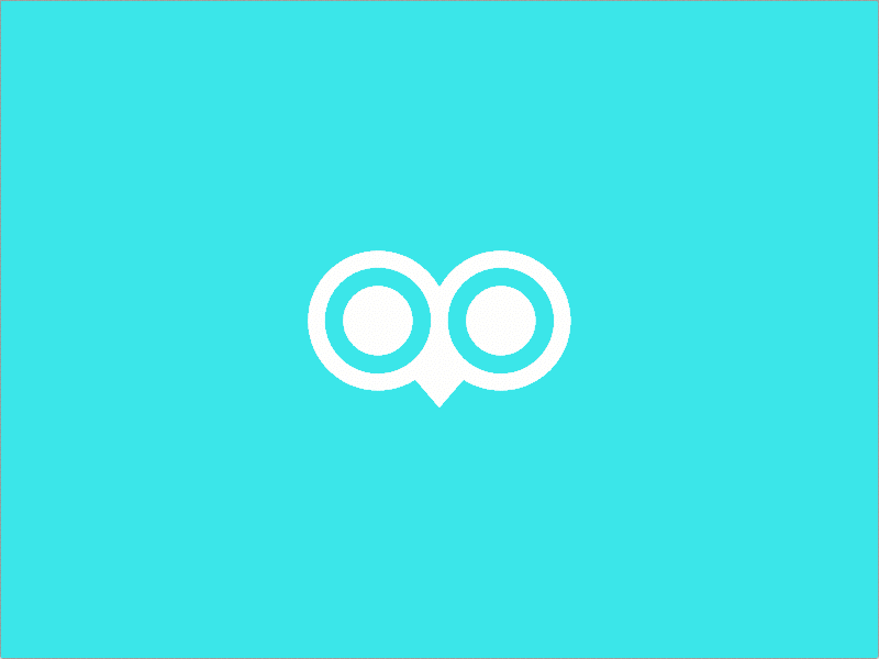 Monyog Logo Construction animation aqua blue branding clean design flat geometric gif logo mark owl