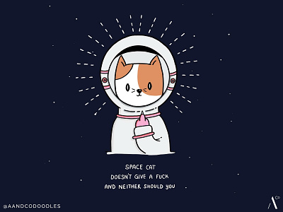 Spacecat gives no fucks