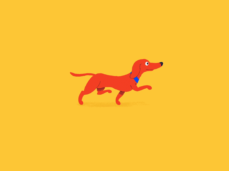 Georgia Doggie animation character dachshund dog illustration loop motion graphics photoshop animation