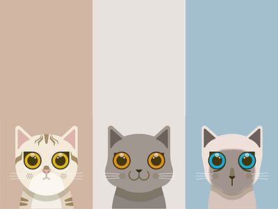 Cats' Portraits cat english bluecat illustration siamese tabby