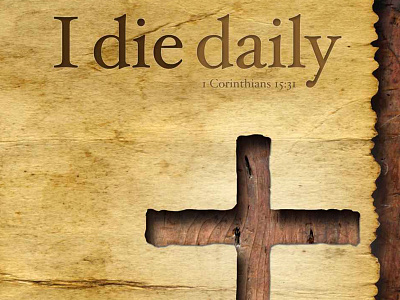 I Die Daily Book Cover book cover christian church graphic design hoefler text religion