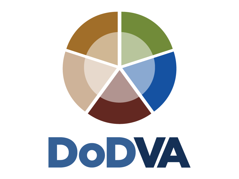 DoD/VA Application Logo