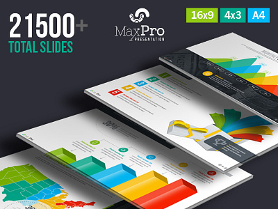 Maxpro Business Plan Powerpoint Presentation