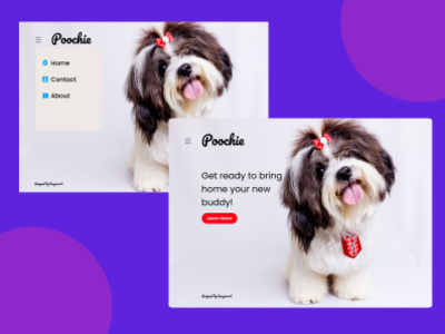 Poochie Website layout