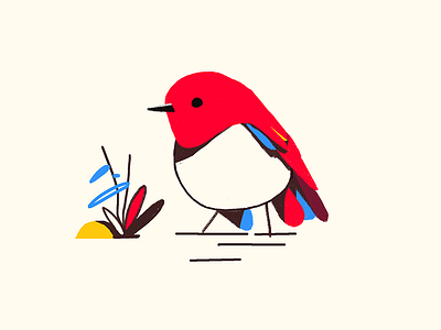 Bird bird doodle illustration nature sketch