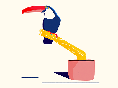 Tukan animal bird character color doodle illustration tukan