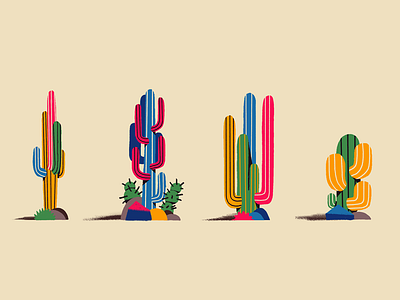 Cactus 2d cactus color desert icon illustration plants
