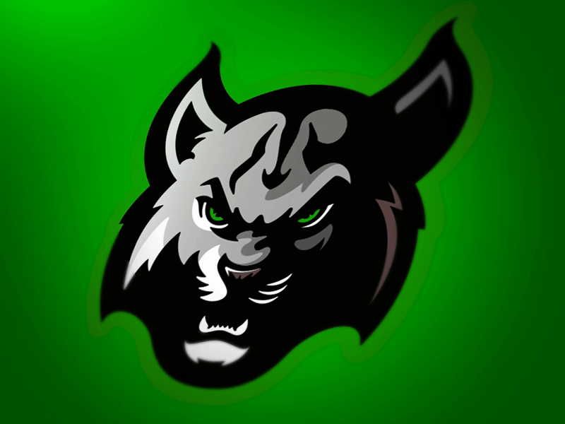 Lynx Logo alterego branding logo mascot sports