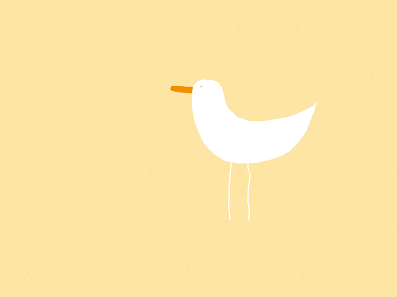 Seagull seagull