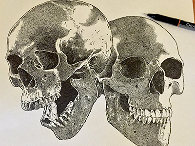 Stippled Skulls black dots pen and ink skull stippling