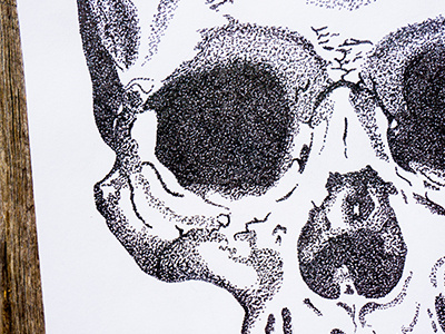 Stippled skull