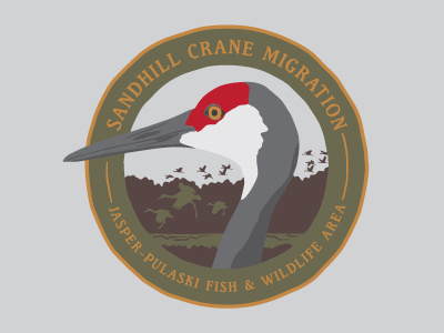 Sandhill Crane bird crane indiana sandhill wpa