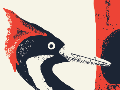 Alphabeast — Ivory-billed Woodpecker