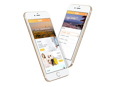 Travel App app travel visa