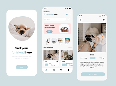 Pet Adoption App app design graphic design ideas pet project typography ui ui ux ux